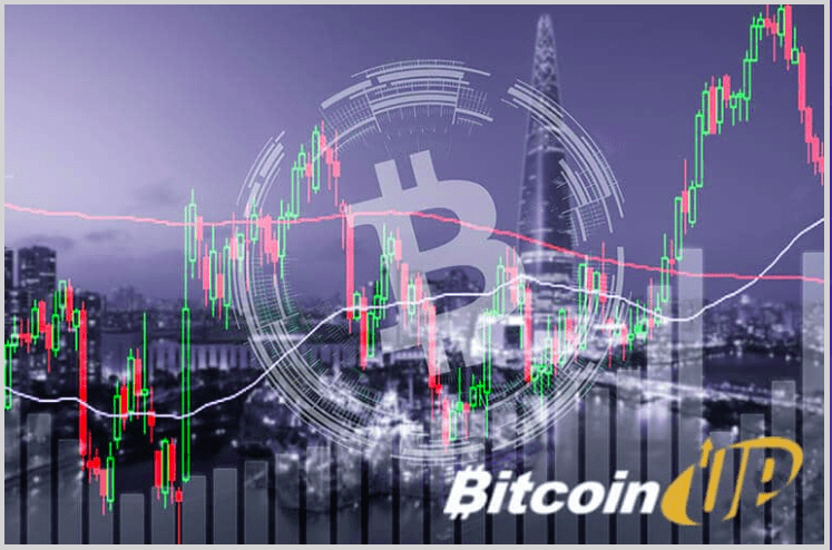 Bitcoin Up logo on a city background